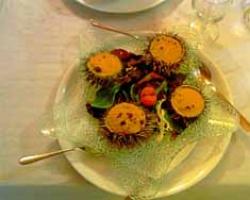 Kaviár z morského ježka - prospešné vlastnosti Kaviár z morského ježka prospešné vlastnosti