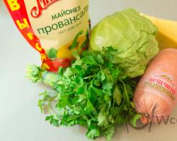 Kāpostu un šķiņķa salātu recepte ar foto Svaigu kāpostu un šķiņķa salāti