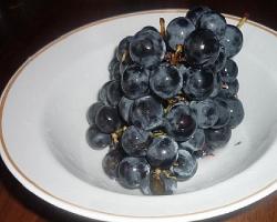 Džem od grožđa Video recepti: kako napraviti džem od grožđa od sultanije